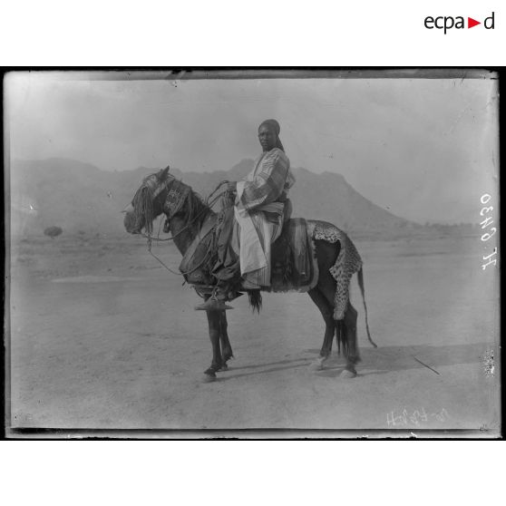 Mora. Cavalier en grand costume devant le lamido. [légende d'origine]