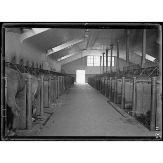 Garches, Seine-et-Oise, Institut Pasteur, fabrication des sérums. Ecurie. [légende d'origine]