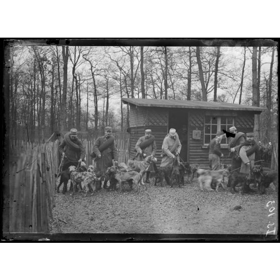 Maison-Lafitte, la société nationale du chien sanitaire et de guerre. Chiens sanitaires - préparatifs de départ. [légende d'origine]