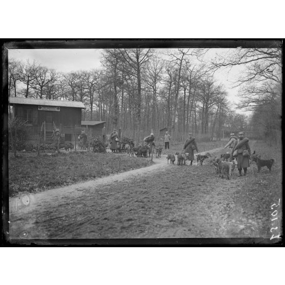 Maison-Lafitte, la société nationale du chien sanitaire et de guerre. Chiens sanitaires - le départ. [légende d'origine]