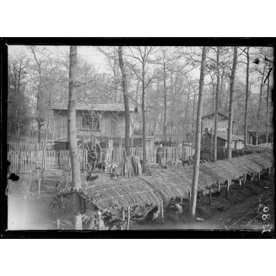 Maison-Lafitte, la société nationale du chien sanitaire et de guerre. Une partie des chenils. [légende d'origine]