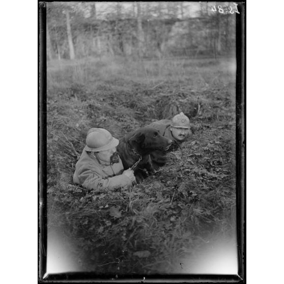 Maison-Lafitte, la société nationale du chien sanitaire et de guerre. Le chien de tranchée au poste d'écoute. [légende d'origine]