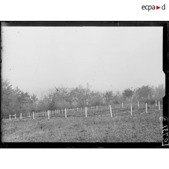 Notre-Dame-de-Lorette, cimetière n°3 (Bois de Bouvigny). [légende d'origine]