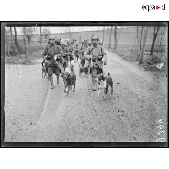 La Neuville-Sire-Bernard, le chien d'un régiment. [légende d'origine]