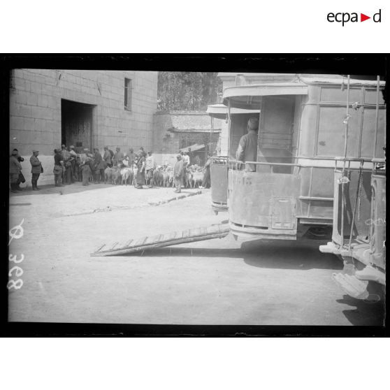 [Des hommes rassemblent un troupeau de moutons devant un hangar, sous le regard d'autorités militaires.]