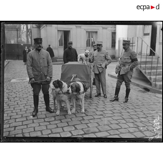 Paris, Ministère de la guerre. Service de Santé, voiturettes attelées de chiens. [légende d'origine]