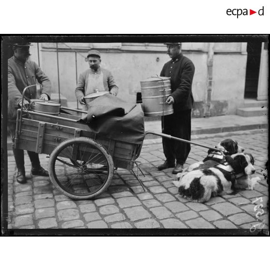 Paris, Ministère de la guerre. Service de Santé, voiturettes attelées de chiens. [légende d'origine]