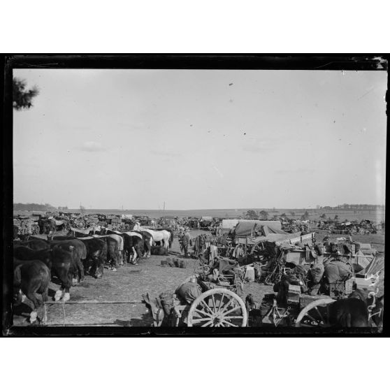 Roucy, Marne, cantonnement d'artillerie. [légende d'origine]