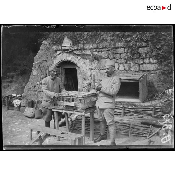 [Scène de la vie quotidienne dans un campement : des soldats s'occupent de pigeons.]