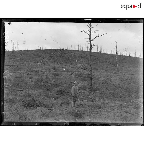 Dans l'Aisne, le bois des Buttes, les anciennes premières lignes allemandes. [légende d'origine]