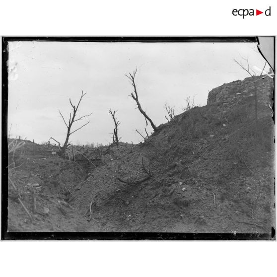 Bois des Buttes, ancienne organisation allemande. [légende d'origine]