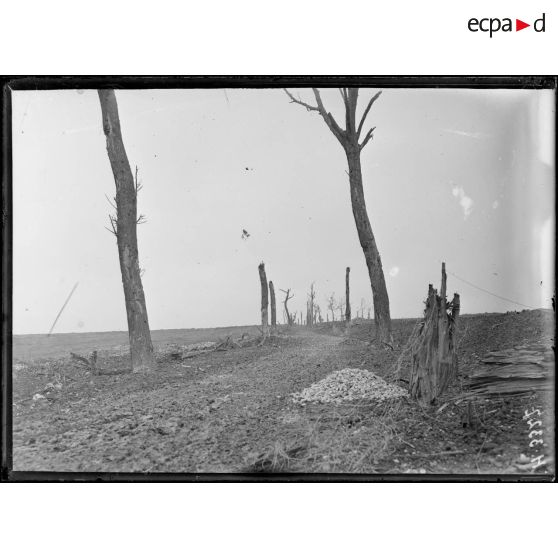 La route conduisant à Péronne (à la sortie de Maricourt). [légende d'origine]