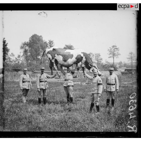 Conty (Somme). Une vache fabriquée par la section de camouflage. [légende d'origine]