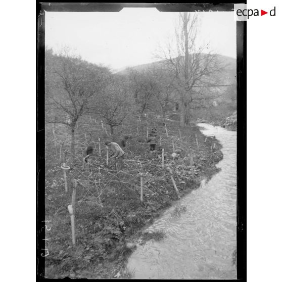 Bourbach-le-Bas, Alsace. Jeunes alsaciens posant des fils barbelés. [légende d'origine]