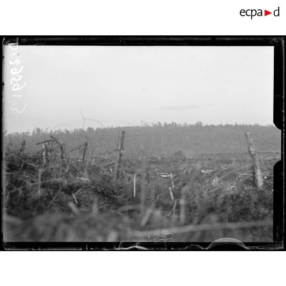 Panorama, vue prise sur les bois du Plémont. Positions allemandes de l'observatoire du Promotoire. [légende d'origine]