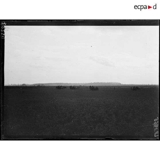 Le bois Bourlon, vue de la route Arras - Cambrai. [légende d'origine]