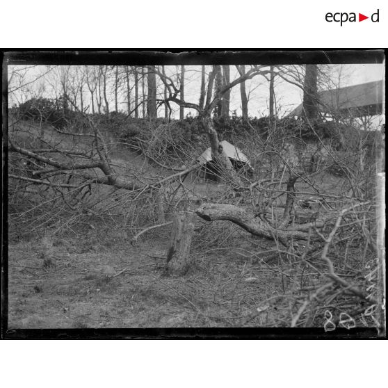 Près Bucy le Long. Aisne. Vergers saccagés. [légende d'origine]