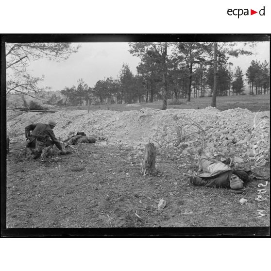 Lisière du bois Bricot, cadavres allemands. [légende d'origine]