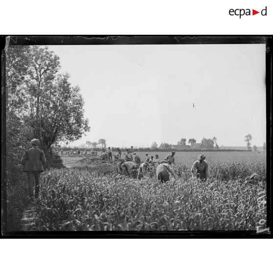 Oudezeele, soldats anglais creusant des tranchées de repli. 1-6-18 [légende d'origine]