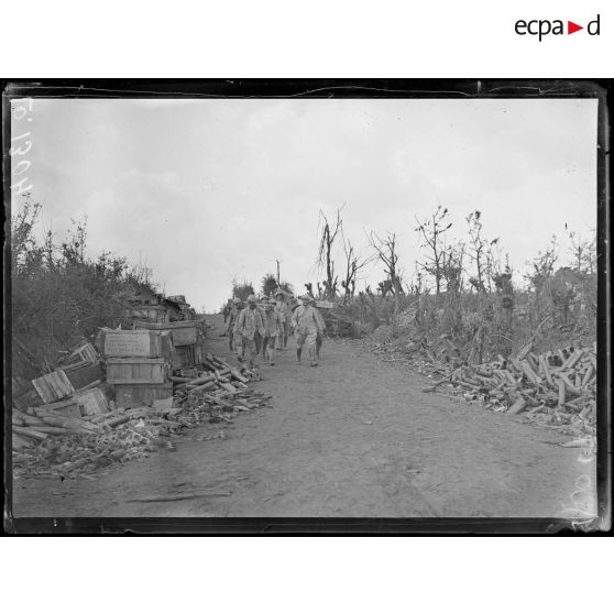 Mont des Flandres, pentes ouest du Mont-Vidaigne. [légende d'origine]