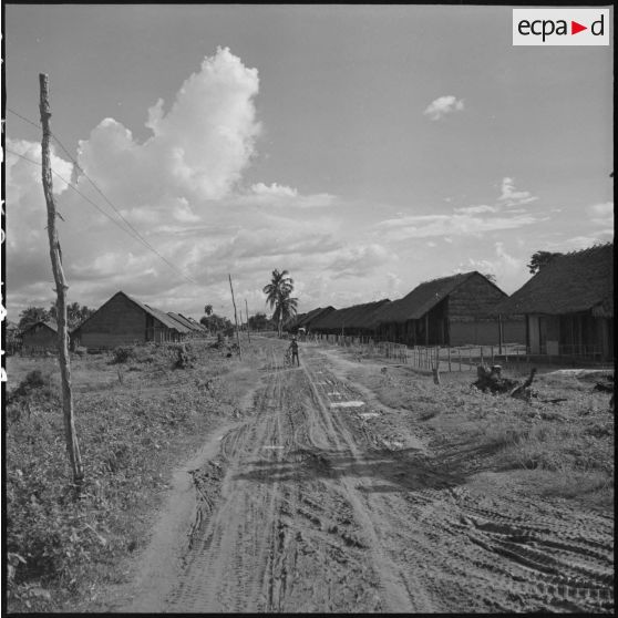 Le village de Raung Veng, qui regroupe des pipéculteurs chinois, constitue l'un des plus prospères des villages regroupés.