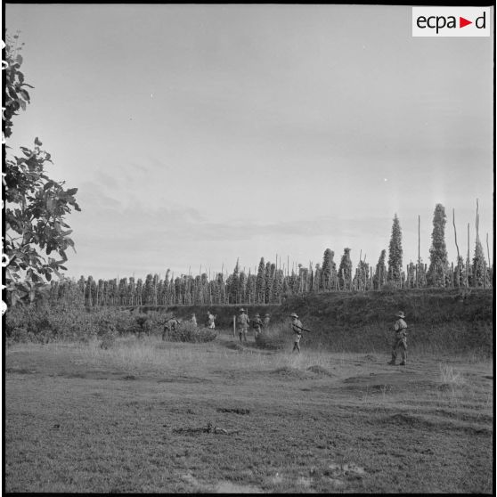 Un groupe du 5e bataillon de chasseurs cambodgiens (5e BCC) en patrouille dans les poivrières de la région de Kampot.