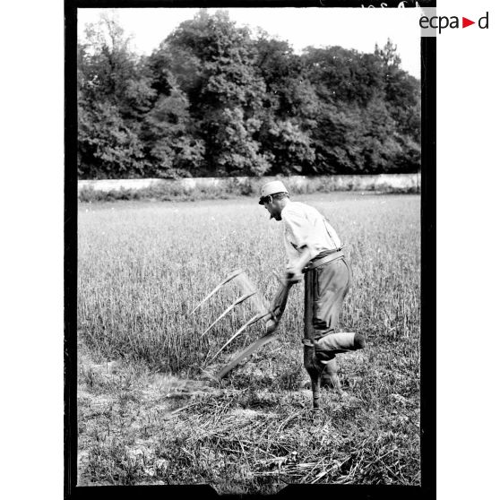 La Maison Blanche. Rééducation des mutilés. Amputé fauchant. Pilon spécial pour travaux des champs. [légende d'origine]