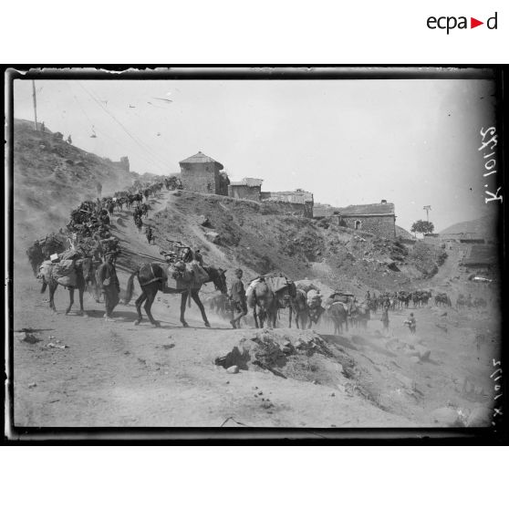 Polcista. Entrée des troupes serbes. [légende d'origine]