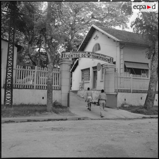 Transport d'un blessé sur un brancard dans un centre de transfusion des FTNV (forces terrestres au Nord-Vietnam).