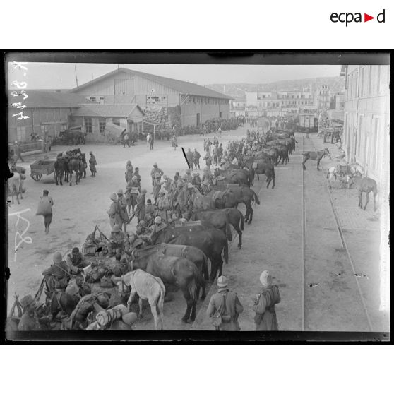 Salonique. Débarquement de la 17e division coloniale. [légende d'origine]