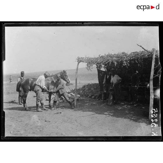 Loutra. Camp serbe. Maréchal ferrant. [légende d'origine]