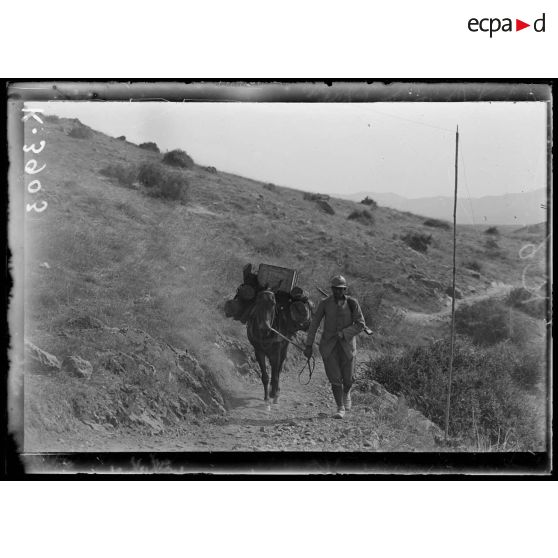 Ravin de Valadja (Macédoine). Mulet ravitailleur sur un sentier. [légende d'origine]