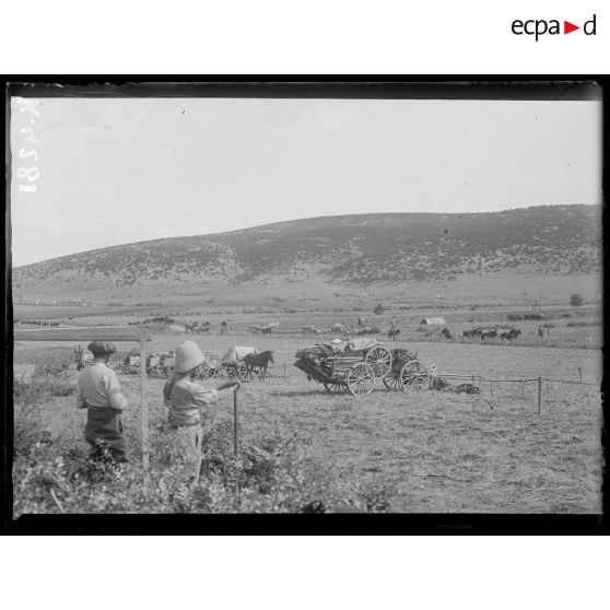 Banitza [Banitsa]. Vue d'ensemble des convois arrivant. [légende d'origine]