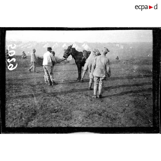 Camp de Zeitenlick. Dressage des mulets récalcitrants. [légende d'origine]