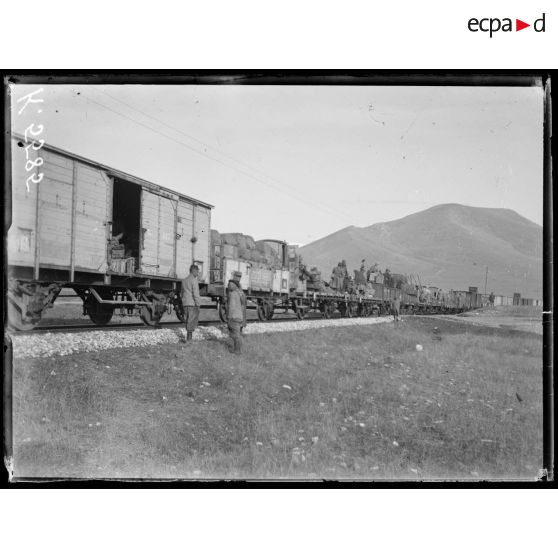 Près Paleti. Lac d'Ostrovo. Le train de muletiers et autre materiel sur la ligne Ostrovo Sorovitch. [légende d'origine]