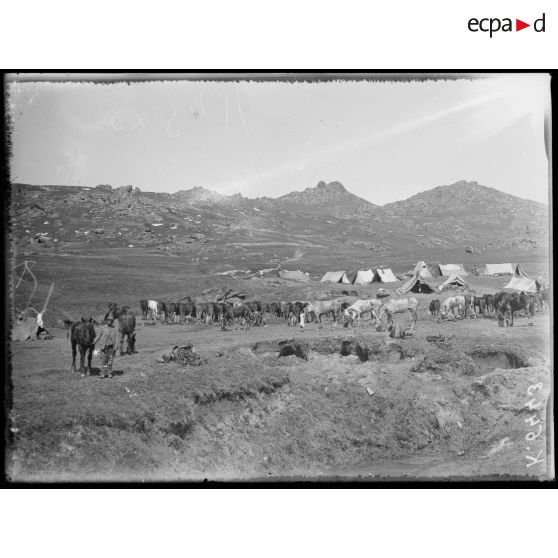 Col de Garvan Koulilé. Ecuries de la 35e compagnie d'aérostiers. Au fond, à gauche, la Dent de Ferdinand. [légende d'origine]