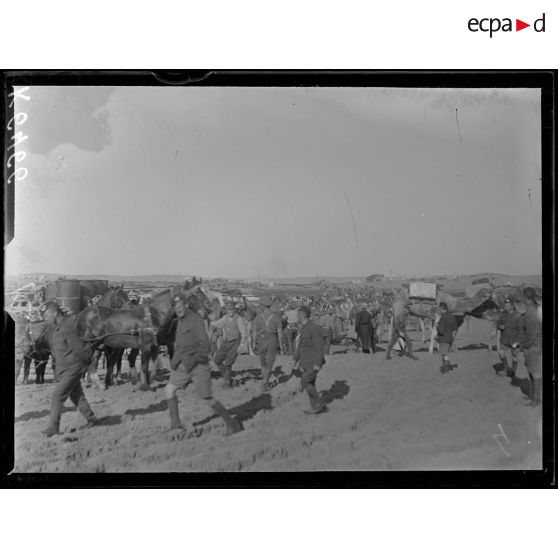 Route d'El-Arish. Transports de ravitaillement. [légende d'origine]