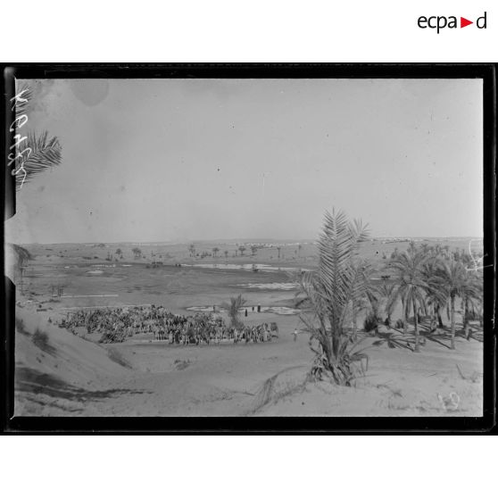 Romani. Panorama de la vallée de l'eau. Chameaux à l'abreuvoir. [légende d'origine]