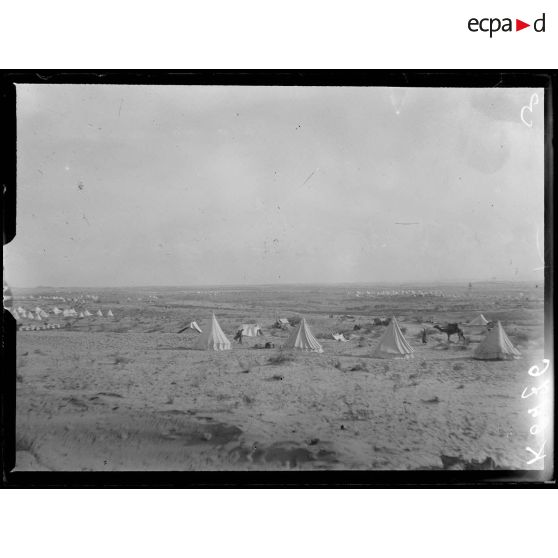 Presqu'île Sinaïque. Camps dans le désert. [légende d'origine]