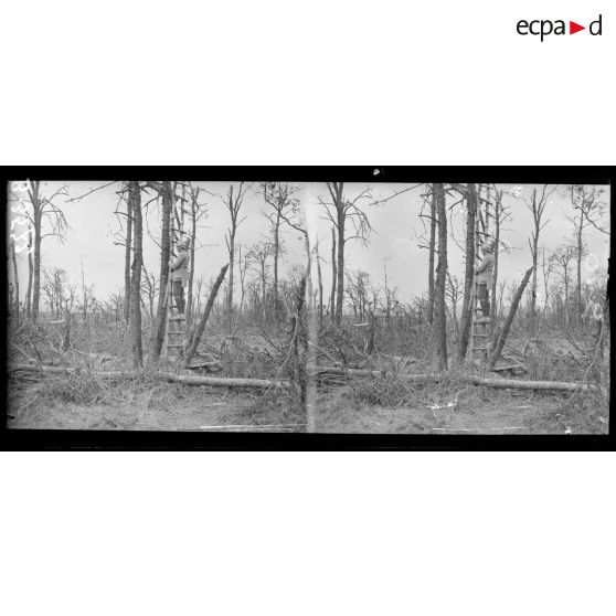 Bois de Méréaucourt (Somme), un observatoire allemand. [légende d’origine]