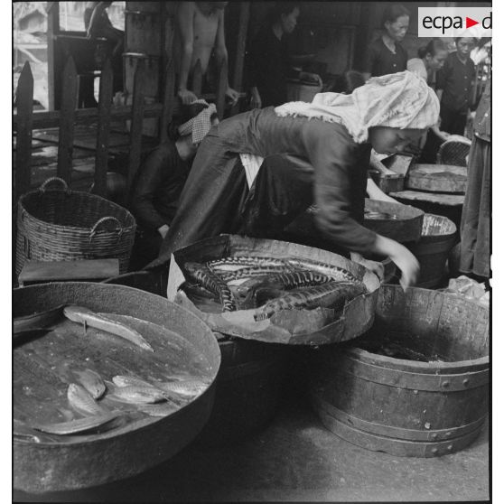 Des vendeurs de poisson frais sur un marché de Saigon.