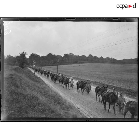 Convoi sur la route de Franceville à Proyart. [légende d'origine]