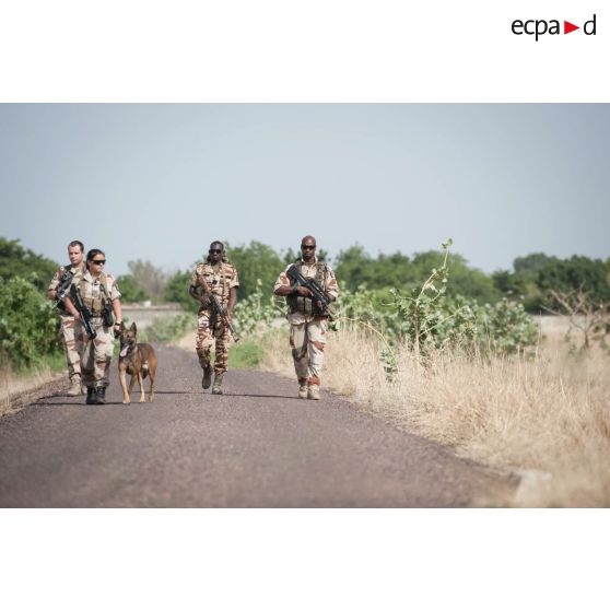 Des fusiliers commandos de l'Air accompagnés d'un soldat tchadien et d'une unité cynotechnique patrouillent autour de l'aéroport de N'Djamena, au Tchad.