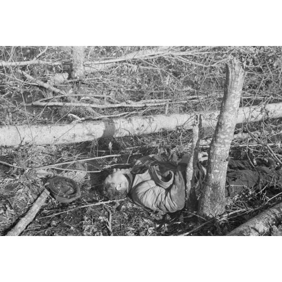 Cadavres de soldats de l'Armée rouge ou de partisans.