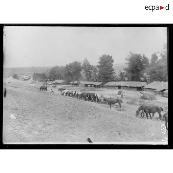 Perles. Aisne. Les échelons d'artillerie. Le parc des chevaux. [légende d'origine]