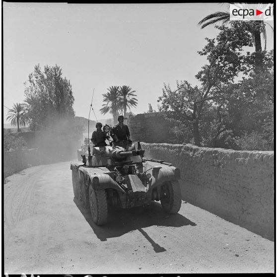 Convoi de blindé EBR Panhard traversant une oasis. [Description en cours]