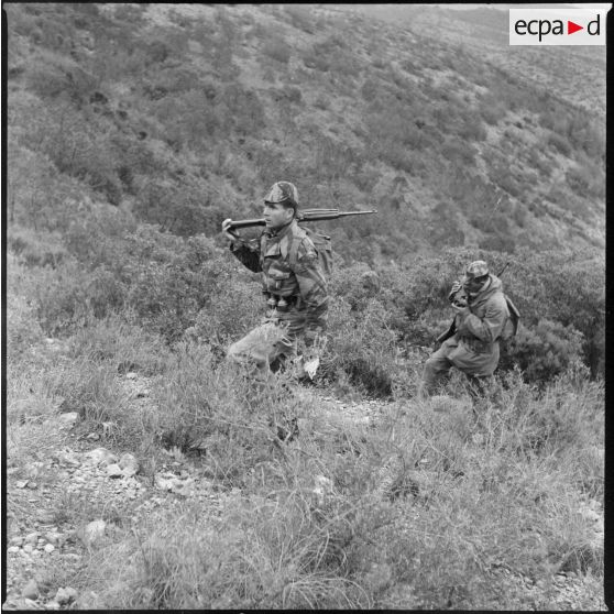 Commando de chasse en opération. [Description en cours]