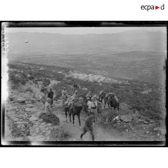 Région de Livadi. Caravane dans le sentier muletier qui conduit à Livadi. [légende d'origine]