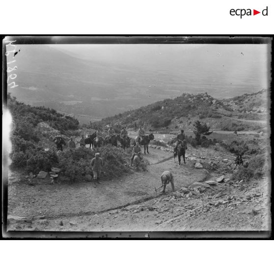 Région de Livadi. Caravane dans le sentier muletier qui conduit à Livadi. [légende d'origine]