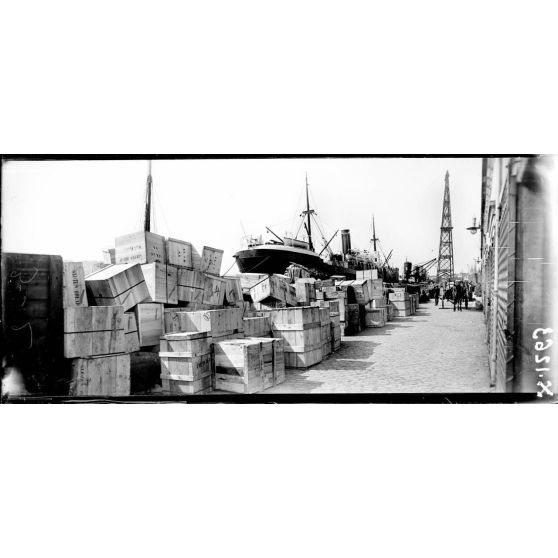 Port de Bordeaux (Gironde). Déchargement de caisses de biscuits. [légende d'origine]